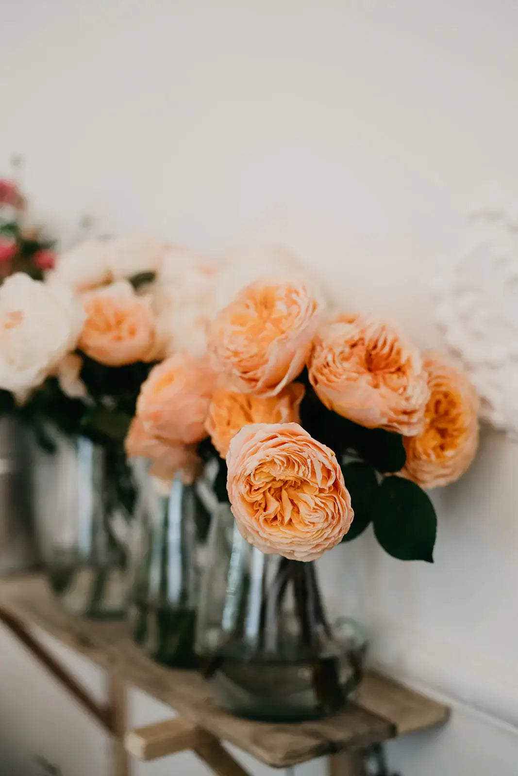 Orange flowers